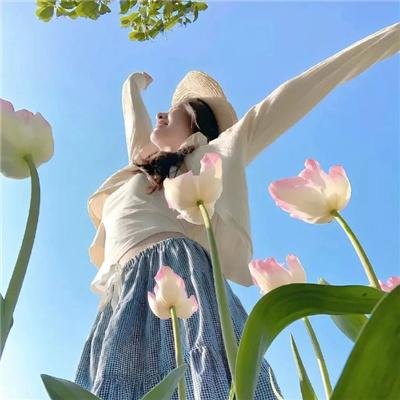 囧探查过界粤语